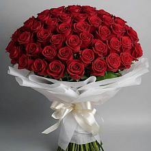Букет 101 Красная роза Блэк Мэджик в Кутулике