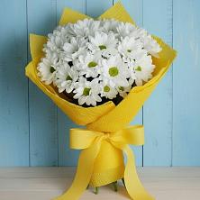 Букет цветов из:  Хризантемы в Кутулике