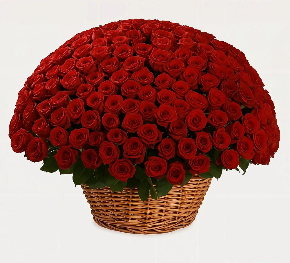 Премиум букет из: Розы в Кутулике