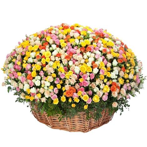 Премиум букет из: Розы в Кутулике