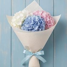 Букет цветов из:  Гортензия в Кутулике