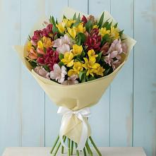 Букет цветов из:  Альстромерии #REPLACE_PRED# Кутулике