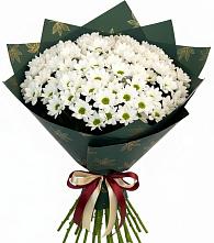 Букет цветов из:  Хризантемы в Кутулике