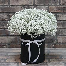 Цветочная композиция из Гипсофила в шляпной коробке в Кутулике