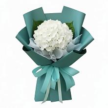 Букет цветов из:  Гортензия #REPLACE_PRED# Кутулике